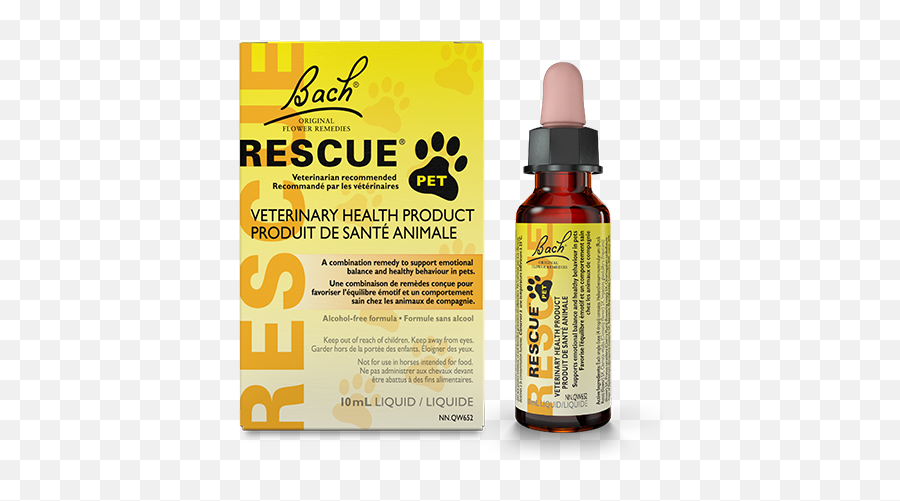 Rescue Pet Veterinary Health Bach Flower Remedies - Bach Rescue Emoji,4 Different Cats With 4 Different Emotions