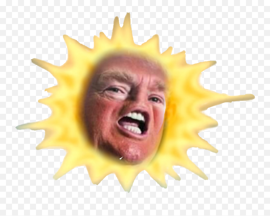 Donaldtrump Baby Sticker Emoji,What Does A Whining Emoticon Look Like