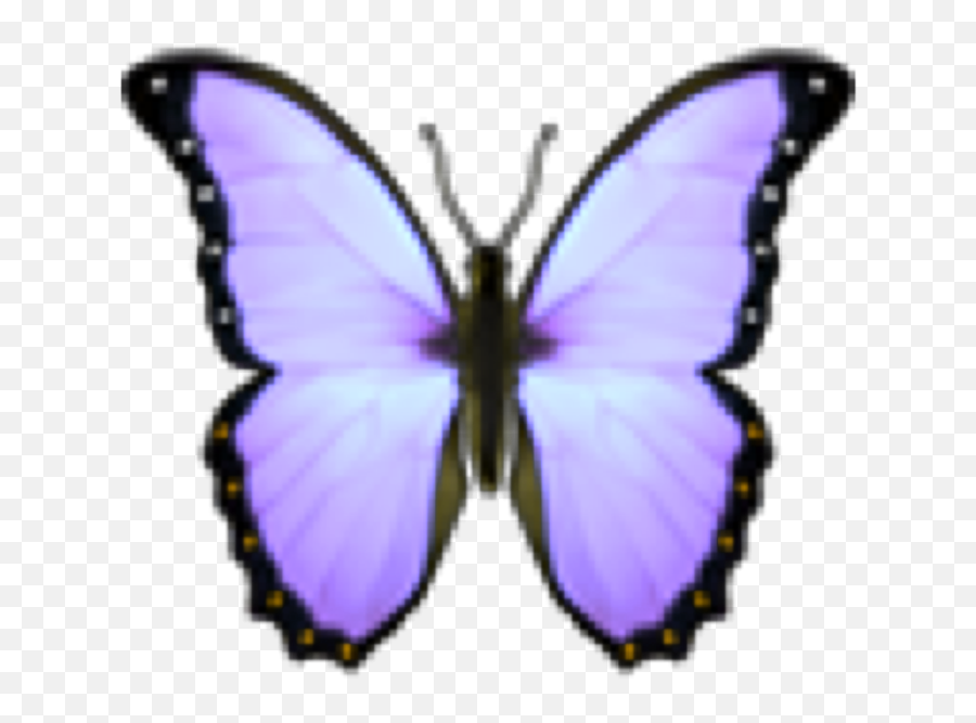 Is There A Purple Butterfly Emoji - Girly,Purplebutterfly Emojis