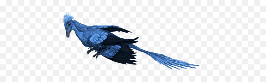 Microraptor - Wikiwand Emoji,Emoji Diciendo Que No