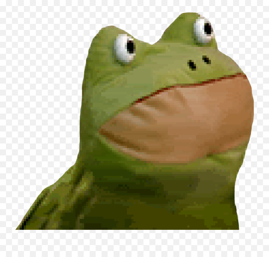 Frog - Discord Emoji Kermit,Frog Emoji