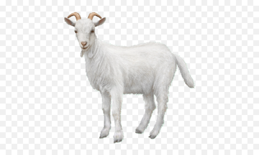 Goat Png Background Image Png Arts Emoji,Goat Emojis