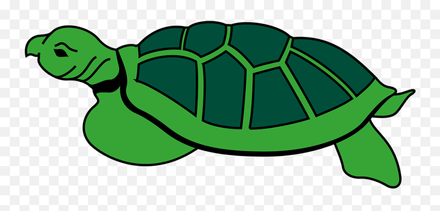 Turtle Reptile Tortoise Animal - Clipart Turtle Green Emoji,Turtle Emotions