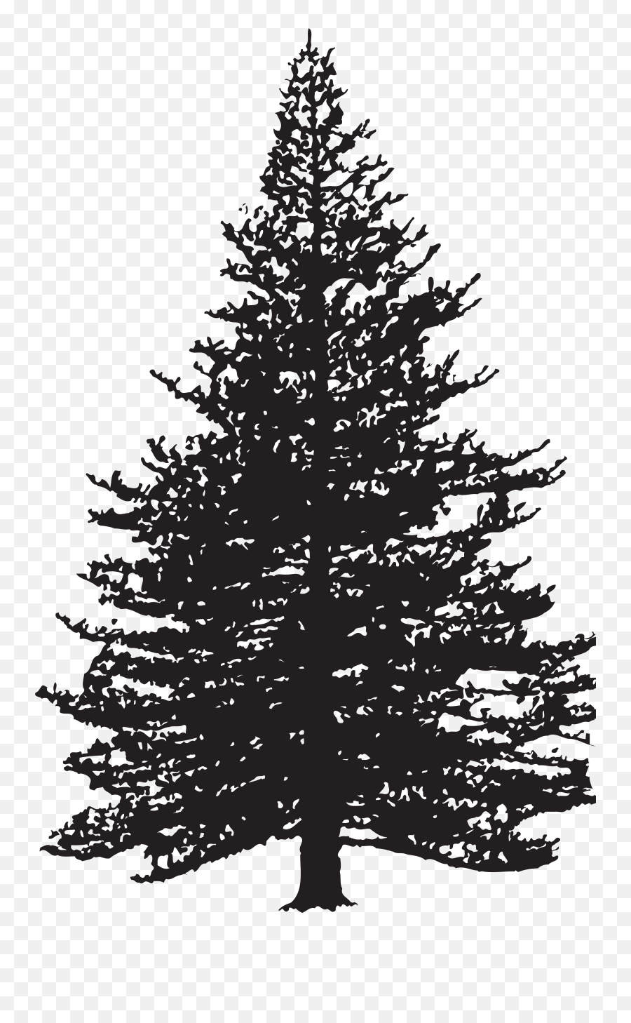 Clip Art Fir Drawing Pine Image - Tree Png Download 5074 Pine Tree Silhouette Jpeg Emoji,Pinecone Emoji