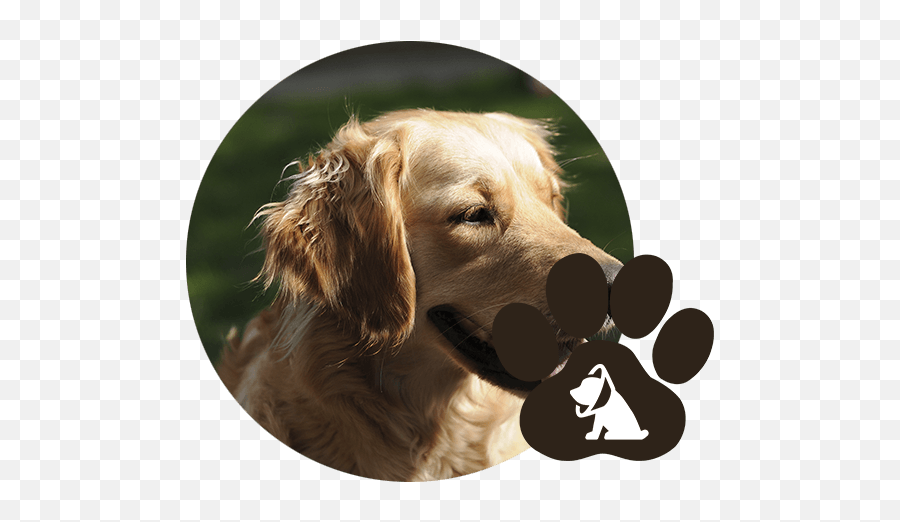 Animal Spay Neuter Emmett Id - Dog Body Language Panting Emoji,Neutered Dog Emoticons
