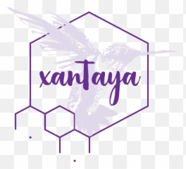 Sonic Dreamweaving Sessions U2014 Xantaya Health - Language Emoji,Sonic X Emotions