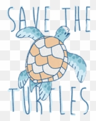 The Most Edited Turtle Picsart - Vsco Turtle Drawing Emoji,How To Make A Turtle Emoticon