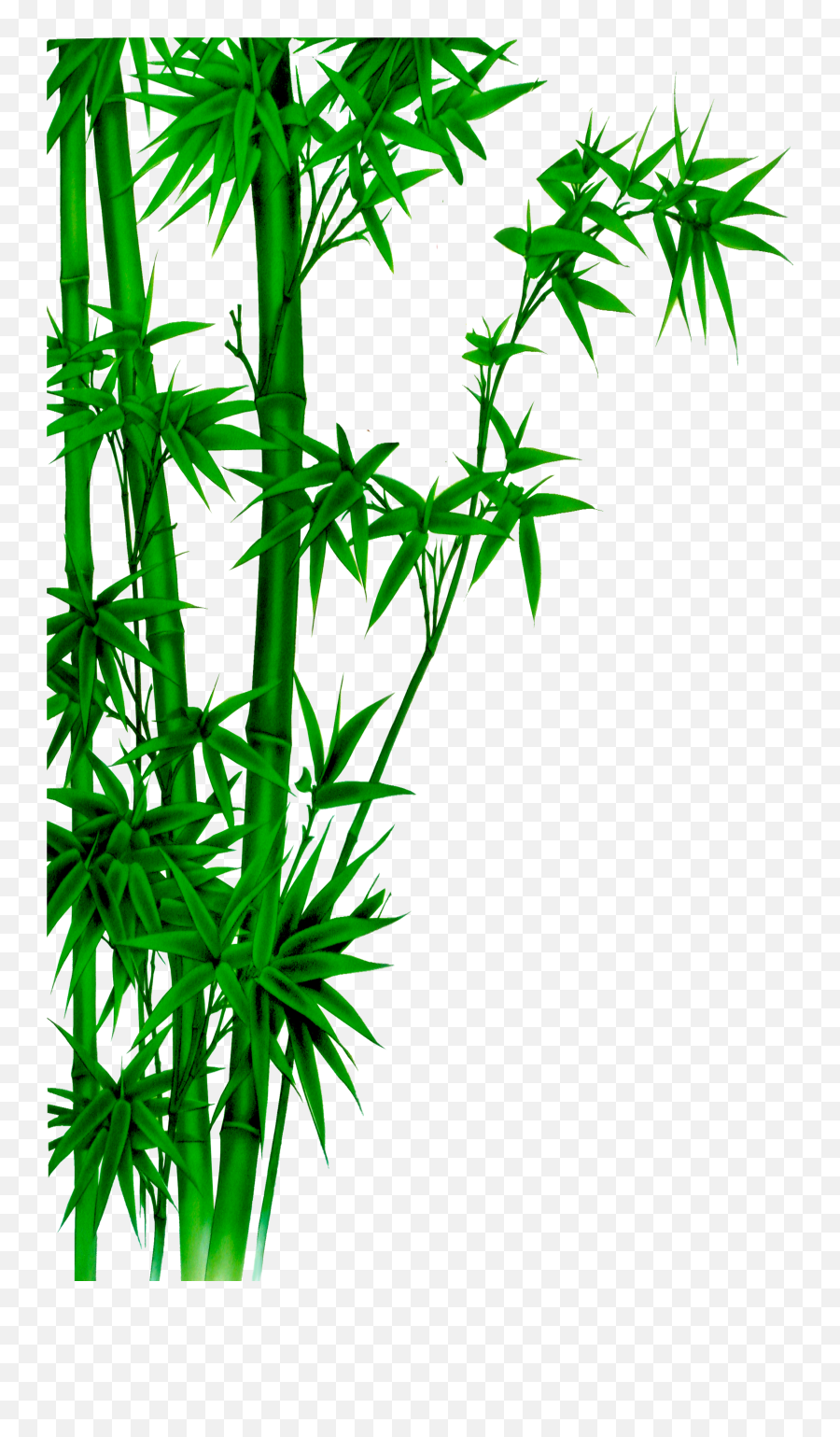 Download Poster Bamboo Wash Painting Ink Free Hq Image - Chinese Bamboo Painting Emoji,Android Emoticon Green Bamboo