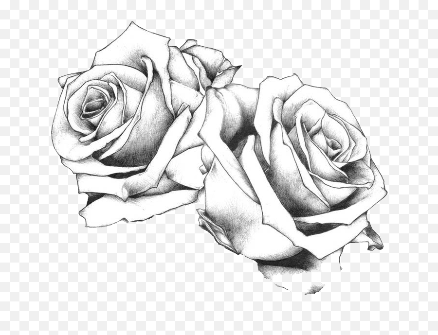 Tattoo Flash Art Drawing Rose Free Frame - Bundle Of Roses Rose Tattoo Flash Emoji,Art Emoji Tattoo