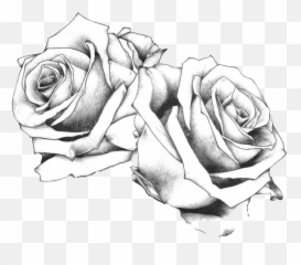 Tattoo Flash Art Drawing Rose Free Frame - Bundle Of Roses Rose Tattoo Flash Emoji,Art Emoji Tattoo