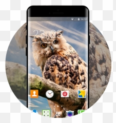 Owl Theme For Alcatel One Touch Pop C1 - Owls Emoji,Does The Alcatel One Touch Pop Astro Have Emojis