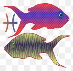 Tomorrows Horoscopes For Pisces Sun - Coral Reef Fish Emoji,Pisces Emoji