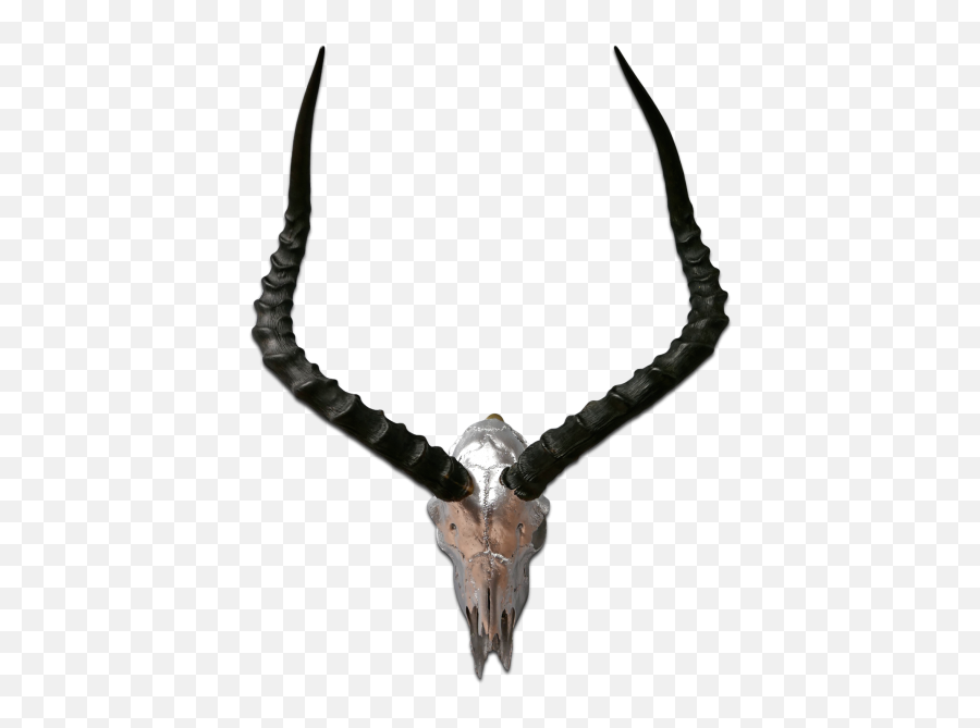 Real Impala Skull Silver Spray Painted African Antelope Hornsantelope Skull Emoji,Skull & Acrossbones Emoticon
