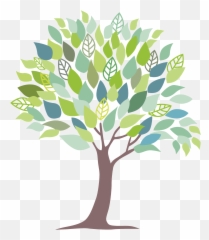Credentials U2014 Dr Kearney N Visser Clinical Psychologist - School Psychology Clipart Emoji,Behavior And Emotion Clipart