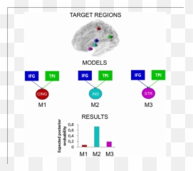 Dynamic Causal Models - Dot Emoji,Where Does The Amygdala Generates Emotions From