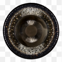 Tone Of Life - Shemoon Gong Solid Emoji,Color Frequencies Of Emotions