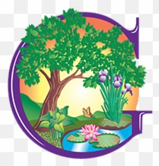 Thousands Of Plants - Water Lilies Emoji,Abelia 'sweet Emotion'