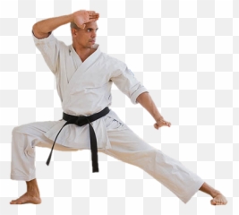 Fastest Karate Images Png Emoji,Karate Kick Girl Emoticon