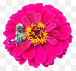 Matty Schindler U2013 The Duluth Experiment Emoji,Find The Emoji Answers Salsa Picture