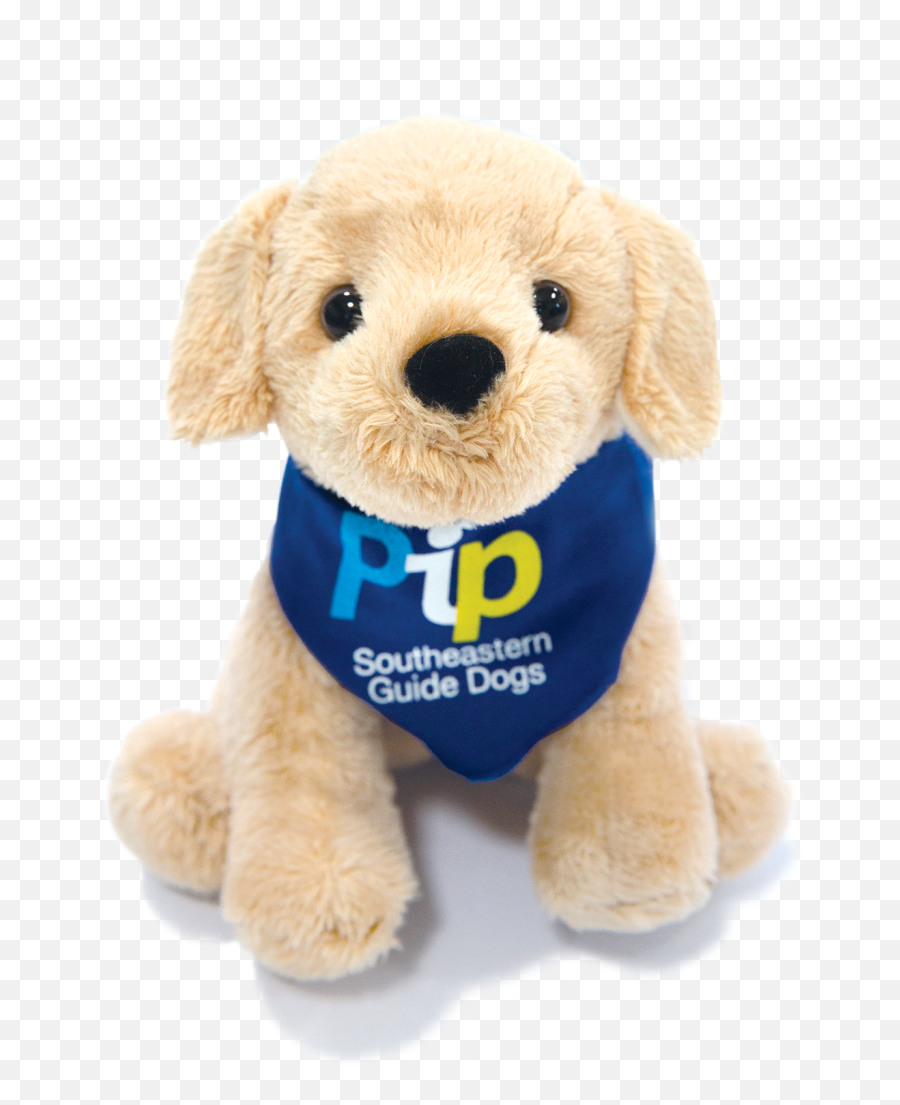 Segd Author At Southeastern Guide Dogs - Pip Perro Guia Emoji,Emotion Support Animal