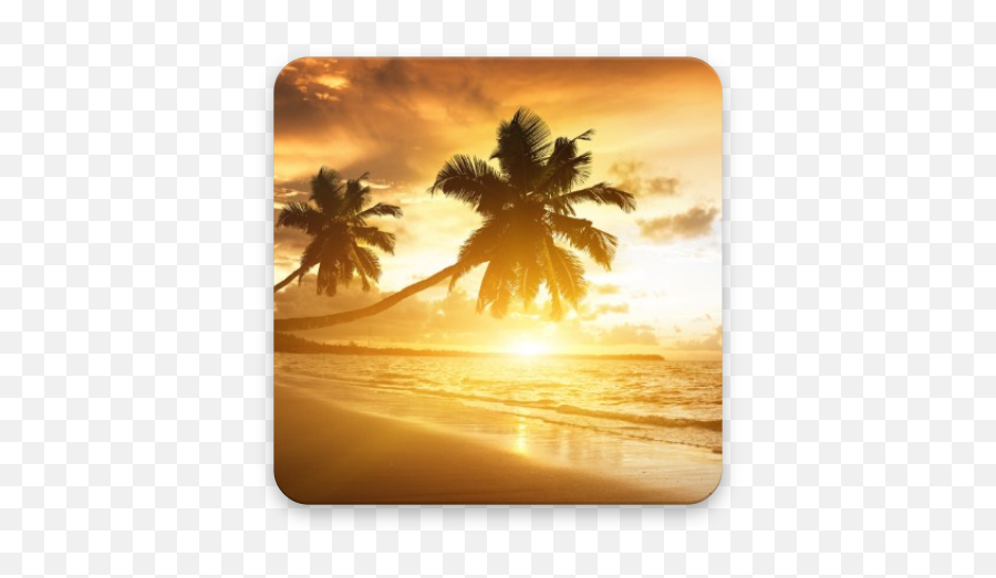 Download Beach Sunset Wallpaper Free For Android - Beach Emoji,Sunset Emoji Ocean