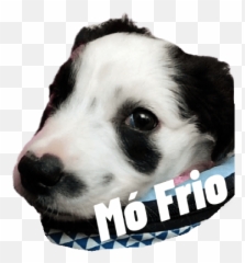 Dog Emoji,Dog Emoji Meme