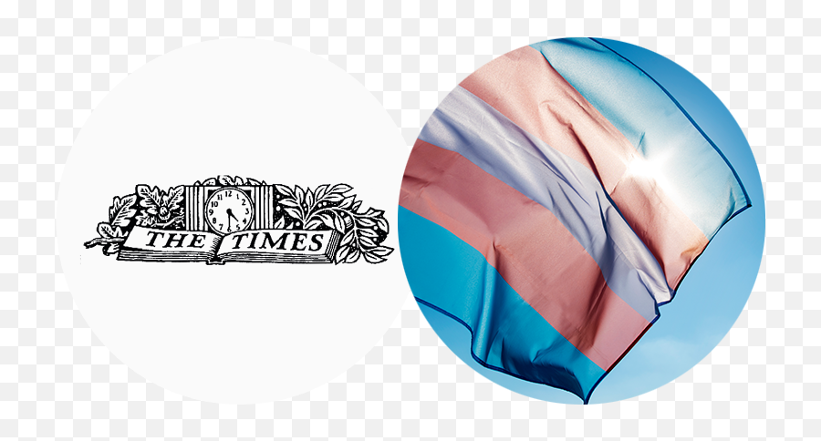 The Times U0026 The Sunday Times Emoji,Salute Emoji Maker