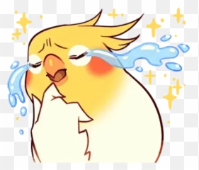 Emotions Stickers For Whatsapp Page 16 - Language Emoji,Cockatiel Emotions