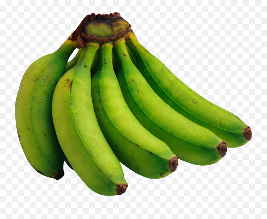 Green Bananas Png Image Free Picture - Green Banana Png Emoji,Bananas Emoji
