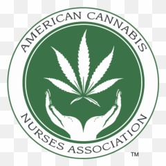 Blog - The Green Nurse Cannabis Support Emoji,Marijuana Emoticon Facebook