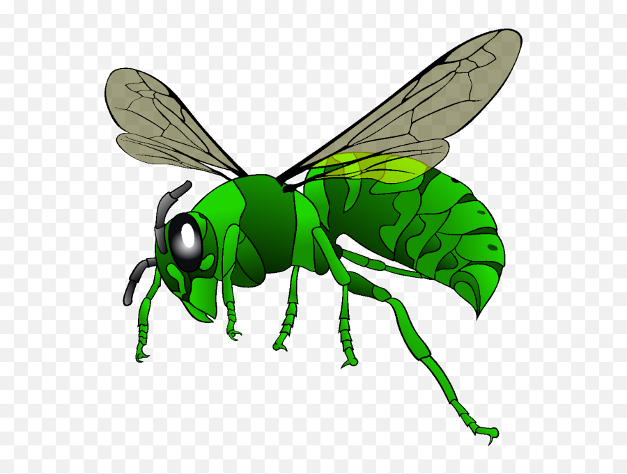 Hornet Png Svg Clip Art For Web - Download Clip Art Png Hornet Clipart Emoji,Emoji The Green Hornet