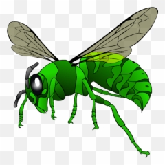 Hornet Png Svg Clip Art For Web - Download Clip Art Png Hornet Clipart Emoji,Emoji The Green Hornet