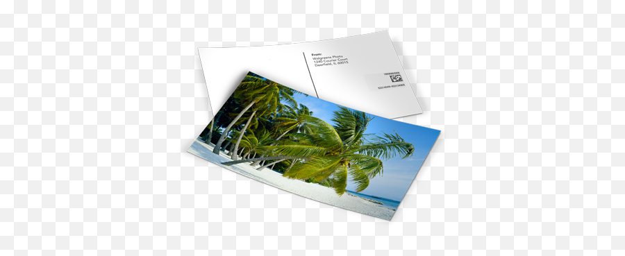 Walgreens Makes Custom Postcards - Walgreens Postcards Emoji,Emoji Walgreens Walgreens Makes Custom Postcards - Walgreens Postcards Emoji,Emoji Walgreens