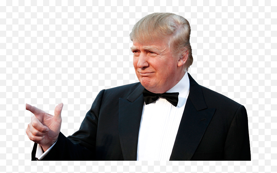 Free Trump Transparent Png Download Free Clip Art Free - Want You On My Side Emoji,Donald Trump Emoji Gif