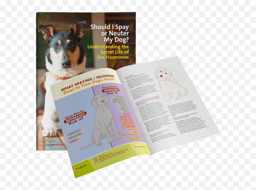 Puppy Culture Booklet Emoji,Neutered Dog Emoticons