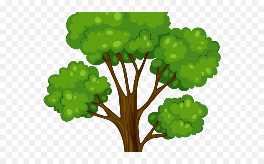 Papaya Clipart Papaya Leaf - Tree Cartoon Vector Png Tall Tree Vector Emoji,Papaya Emoji