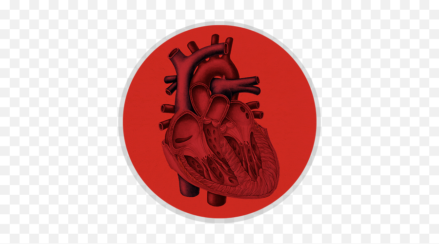 Inland Heart Doctors Patient Education - Mitral Valve Emoji,9 Types Of Muscle Tension Caused By Trapped Emotions