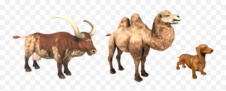 Dec 6 2017 Alpha 20 Update Is Here Animallica - Bactrian Camel Emoji,Camel Ride Emoticon