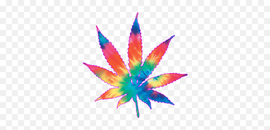 Best Weed Leaves Gifs - Weed Gif For Discord Emoji,Weed That Numbs Your Emotions]