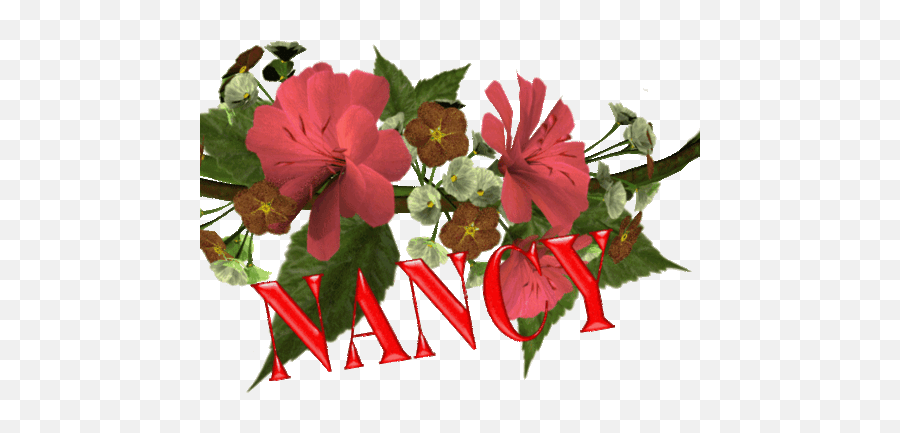 Nancy Name Graphics And Gifs - Nancy Name Emoji,Flores Para Facebook Emoticon