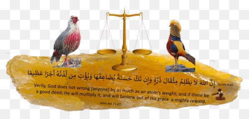 Imams - Comb Emoji,Blind Men Elephant Emotion Subjective