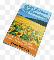 50 Positive Self Esteem Affirmations - Common Sunflower Emoji,How To Do Emotion Code Magnets On Yourself