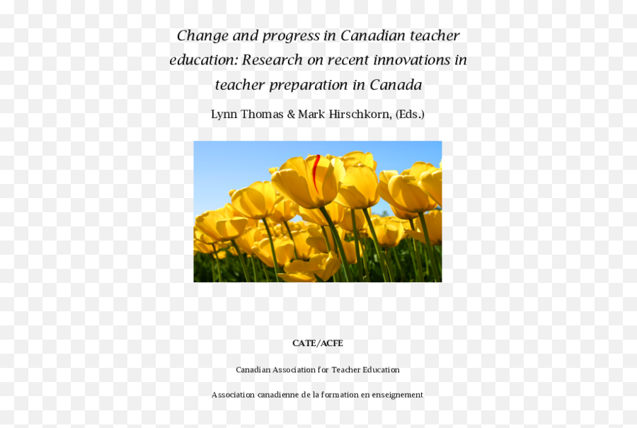Pdf Change And Progress In Canadian Teacher Education Emoji,Dj Emotion Calgary 1999
