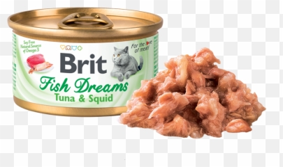 Download Brit Fish Dreams Tuna Squid - Brit Emoji,Brit Emoji