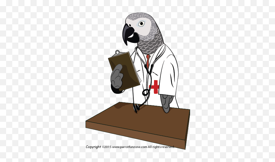 Parrot Care - Parrot Health Emoji,Cockatiel Emotions