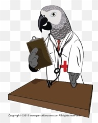 Parrot Care - Parrot Health Emoji,Cockatiel Emotions
