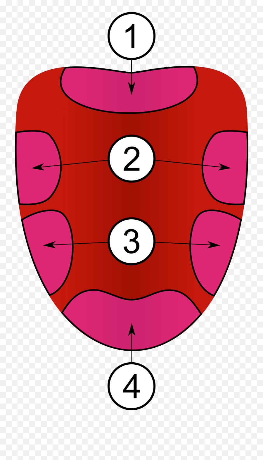 Taste Clipart Sensory Detail Taste - Blank Parts Of The Tongue Emoji,Tonge Emoji