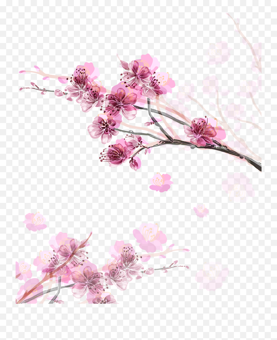 Download Pink Flower Peach Blossom Cherry Vector Hand - Peach Blossom Vector Emoji,Cherry Blossom Emoticon