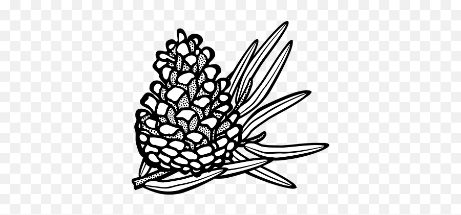 Free Cone Ice Cream Illustrations - Pinecone Clipart Black And White Emoji,Pine Cone Emoji