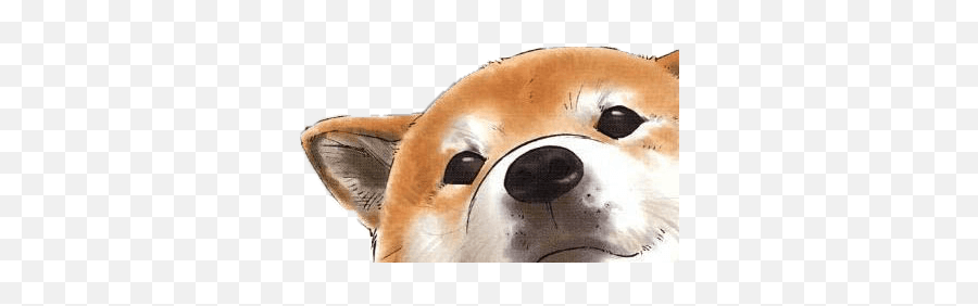 Aesthetic Animals Wallpapers - Top Free Aesthetic Animals Akita Emoji,Dachshund Emoticon Iphone
